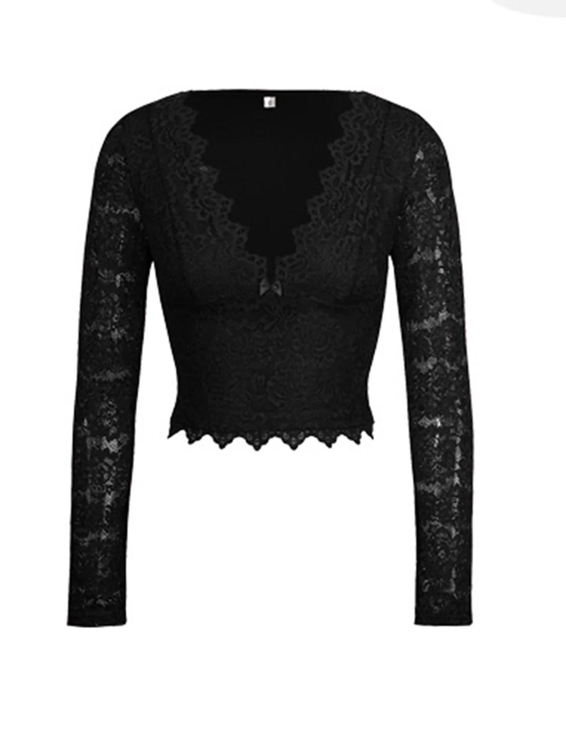Devine V-Neck Long Sleeve Lace Top - Image 14